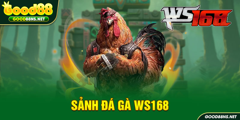 sanh-da-ga-ws168